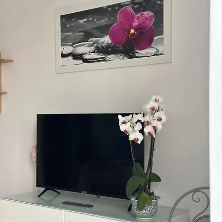 Da Velia, 5 Minuti Dallo Juventus Stadio Apartment Turin